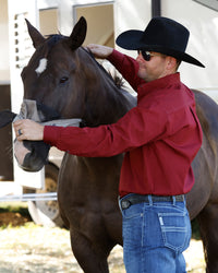 Men’s Cinch Burgundy Solid Shirt