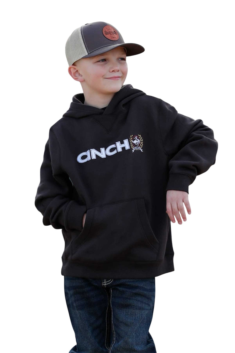 Little Boy's Cinch Brown Pullover
