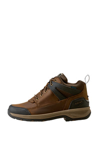 Men's Ariat Terrain Trek Waterproof Shoes