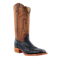 Men's R. Watson Black Full Quill Ostrich